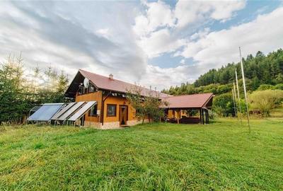 Casă individuală cu 12 camere cu Teren 19841 Mp în Valea Strâmbă - 3