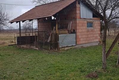 Casă cu 2 camere cu Teren 1950 Mp în Gothatea - 4