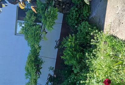 Casă cu 3 camere cu Teren 1000 Mp în Central - 1