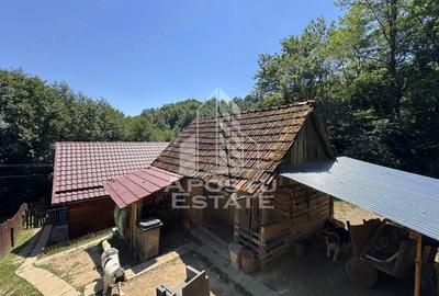 Casă cu Teren 771 Mp în Dumbrava - 6