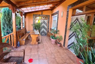 Casă cu 3 camere cu Teren 750 Mp în Criș - 7