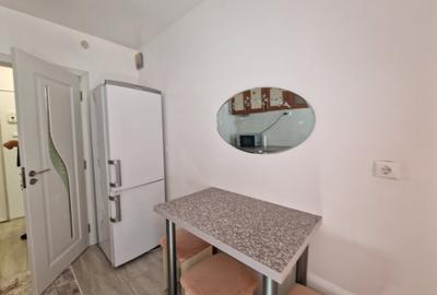Apartament cu 2 camere semidecomandat, mobilat în Podu Roș - 6