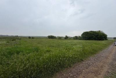 Teren de 2000 mp, în Grădiștea - 4
