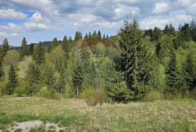 Teren agricol intravilan de 4048 mp, în Periferie - 2