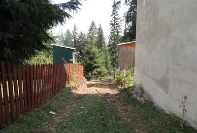 Teren de 500 mp, în Muntele Băișorii - 2