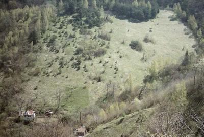 Teren de 20374 mp, în Schei - 5