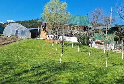 Casă cu Teren 750 Mp în Frumosu