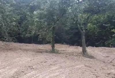 Teren de 2000 mp, în Central