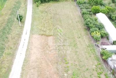 Teren de 2605 mp, în Pestișu Mic