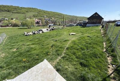 Teren de 1150 mp, în Sâncraiu de Mureș - 5