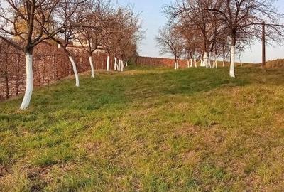 Teren agricol intravilan de 2600 mp, în Alparea - 1