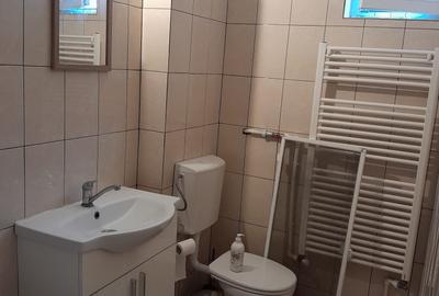 Apartament cu 2 camere semidecomandat în Ferdinand - 4