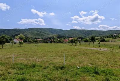 Teren de 7800 mp, în Dobârlău - 1