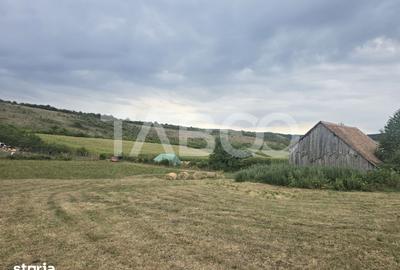 Teren de 8700 mp, în Șura Mare