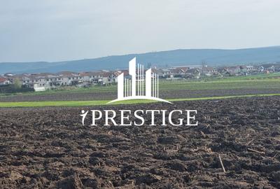 Teren agricol extravilan de 10000 mp, în Șura Mică - 12