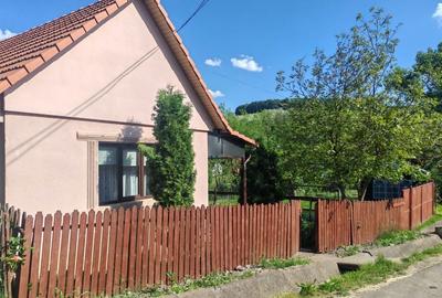 Casă cu 2 camere în Central - 1