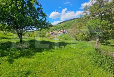 Teren extravilan de 900000 mp, în Inuri