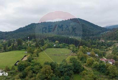 Teren de 726 mp, în Poiana Angelescu - 10