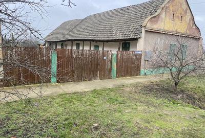 Casă cu Teren 863 Mp în Periam - 2