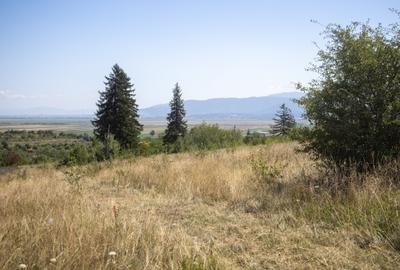 Teren extravilan de 4200 mp, în Vulcan - 8