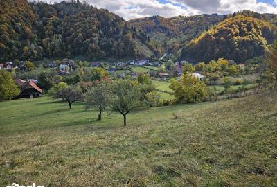 Teren de 1500 mp, în Florilor - 1