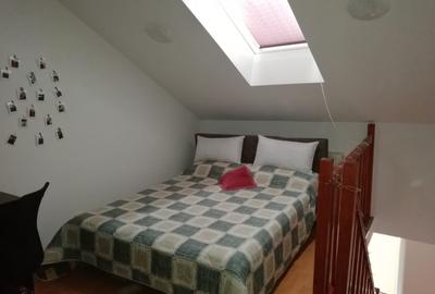 Apartament cu 2 camere semidecomandat, mobilat în Podu Roș - 1