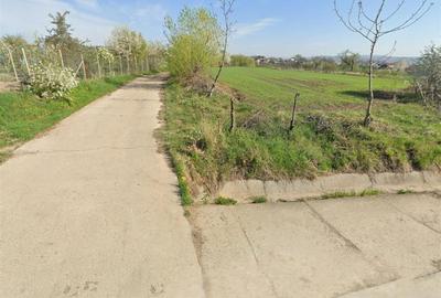 Teren agricol intravilan de 15000 mp, în Ilișești - 5