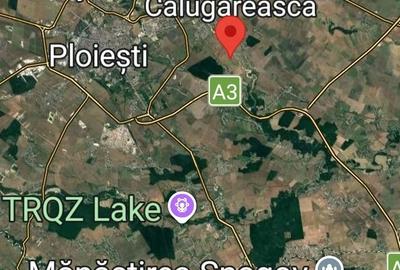 Teren de 10000 mp, în Berceni