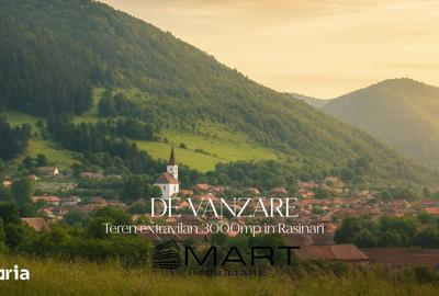 Teren de 3000 mp, în Rășinari