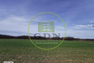 Teren de 21496 mp, în Saca - 4