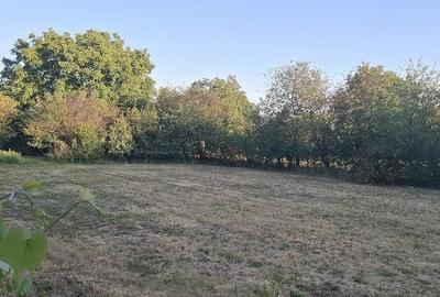 Casă cu 2 camere cu Teren 50 Mp în Central
