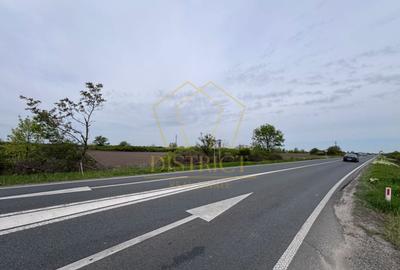 Teren Construcții intravilan de 48800 mp, în Pădureni (Jebel) - 4