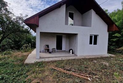 Casă cu 3 camere cu Teren 9000 Mp în Central