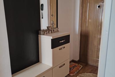 Apartament cu 2 camere decomandat în Craiovița Nouă - 3