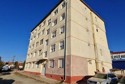 Garsonieră decomandată în Turnișor - 2