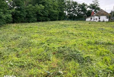 Casă cu 2 camere cu Teren 1800 Mp în Frăsinet - 3
