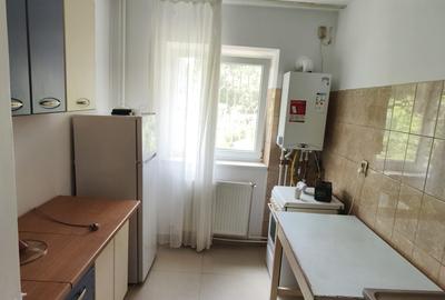 Apartament cu 2 camere semidecomandat în City Park Mall - 4