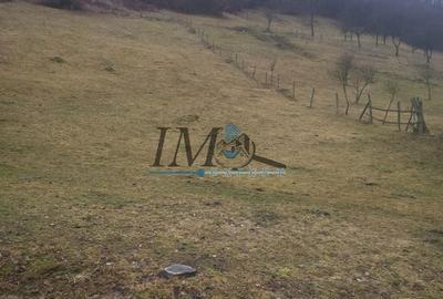 Teren de 1203 mp, în Pianu - 2
