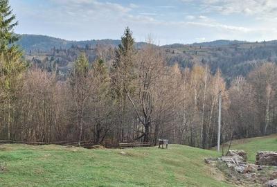 Teren de 5334 mp, în Dârlești