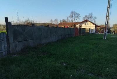 Teren de 2158 mp, în Balinț - 5