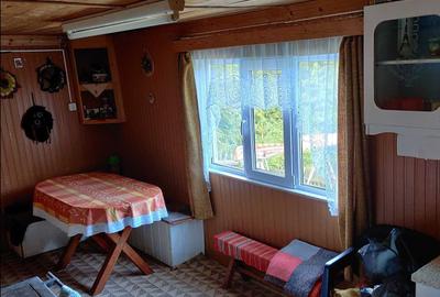 Casă cu 3 camere în Muntele Băișorii - 4