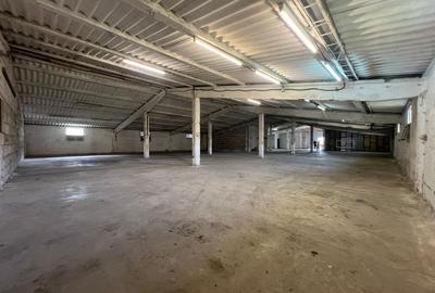 Spațiu industrial, de 750 mp, în Dumbrăvița - 1