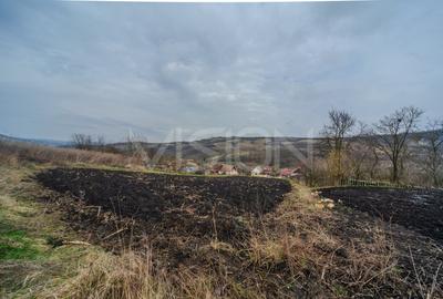Casă individuală cu 1 camere cu Teren 2844 Mp în Căianu - 7