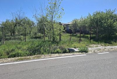 Teren de 4300 mp, în Vedea - 4