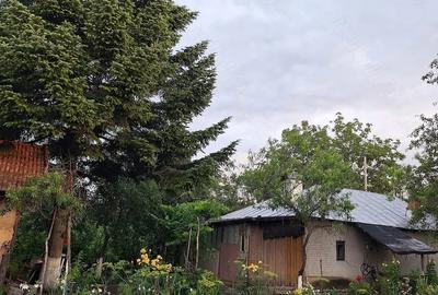Casă cu Teren 3600 Mp în Petru Rareș