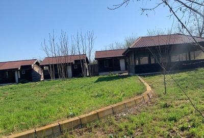 Casă cu 4 camere în Plopul - 7
