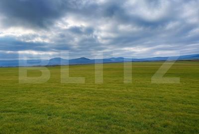 Teren Construcții de 12000 mp, în Vest