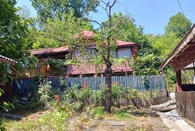 Casă cu Teren 3200 Mp în Grecești