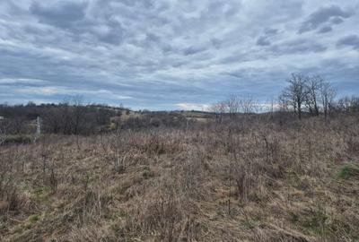 Teren agricol extravilan de 11400 mp, în Iabalcea - 7