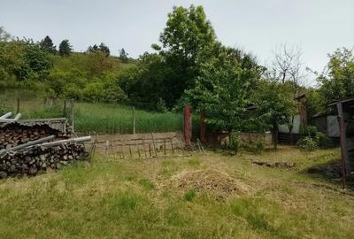 Casă cu 2 camere cu Teren 820 Mp în Suceagu - 4